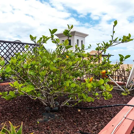 Magnificent In Terrazas Del Duque 1 Appartamento Costa Adeje (Tenerife)